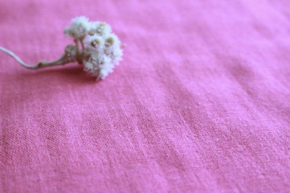 JCコットンダブルガーゼ　キャロル フランボアーズ